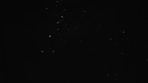 Abstract White Dust Particles on Black Background