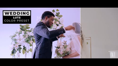 Wedding LUTs