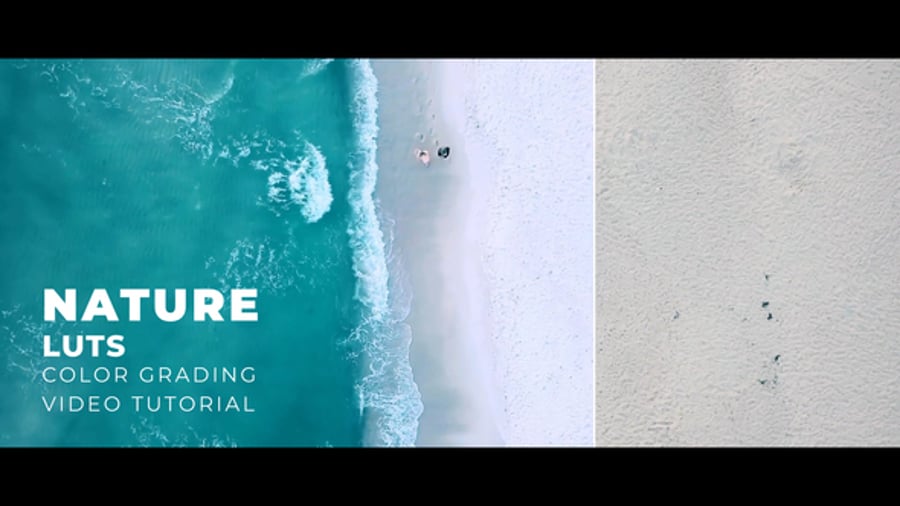 Cover for Nature LUTs