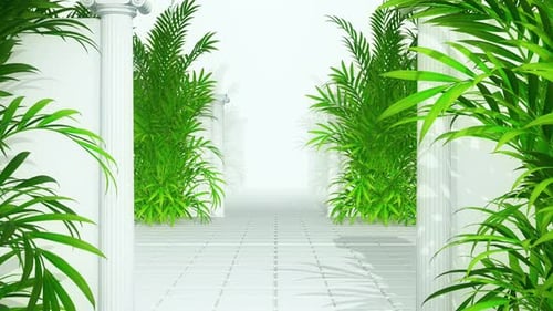 Wall Plant 04 4k