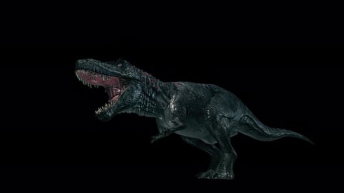 Realistic 3D Black T-Rex Dinosaur Roaring Animation