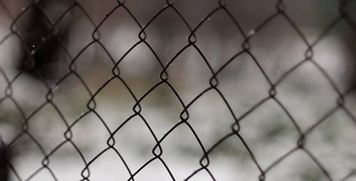 Snow Falls On The Fence