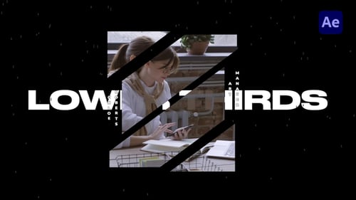 Modern Dynamic Lower Thirds for Professional Title and Text Animations