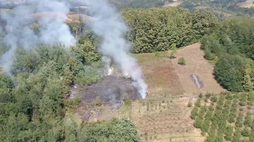 Fire in the middle of forest, on a meadow
