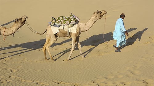 Caravan