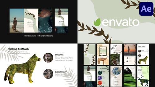 Nature Slides | After Effects