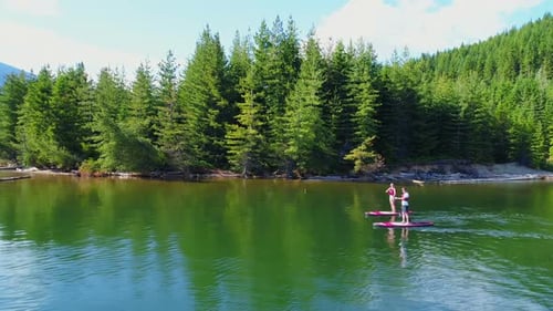 Couple rowing a stand up paddle board in the river
