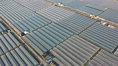 Greenhouse with Mountain village in mountain