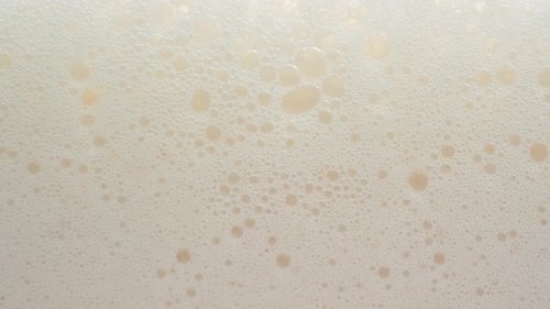 Fresh Cold Beer 76