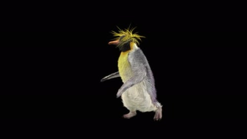Penguin Dancing 4K