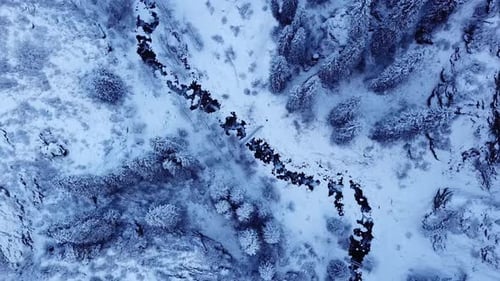 Metal Bridge Among Tall Fir Trees in Mountains