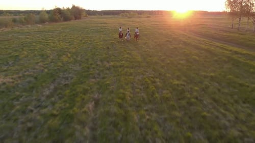 Horses Riding Through a Field at Sunset