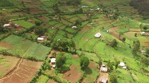Aerial view of a village