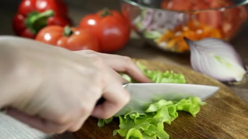 A Woman Cuts a Salad Against the Background of Her Small Vegetable Garden with Herbs