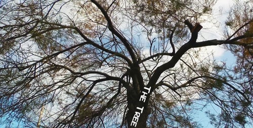 The Tree