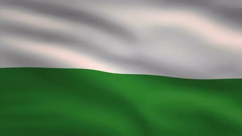 Seamless Loop of White and Green Waving Flag