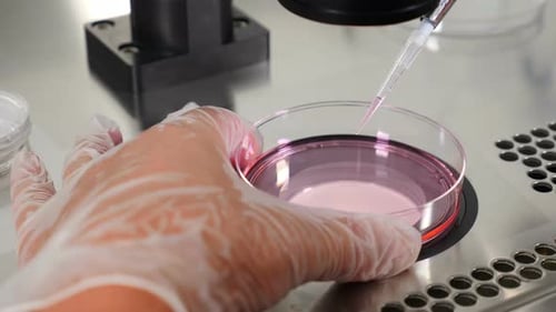 Plan rapproché de la procédure de FIV. Un embryologiste portant des gants de protection laisse tomber le milieu d'un test plastique