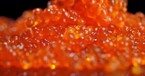 Spoon Stir the Grains of Red Caviar.