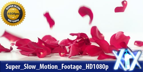 Fallende Rosenblätter 480 fps