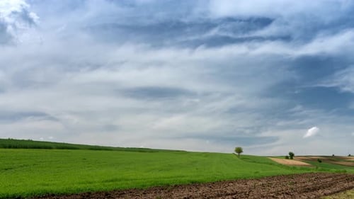 Rural landscape
