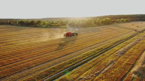 Tractor is collecting dried grass on the beautiful field background