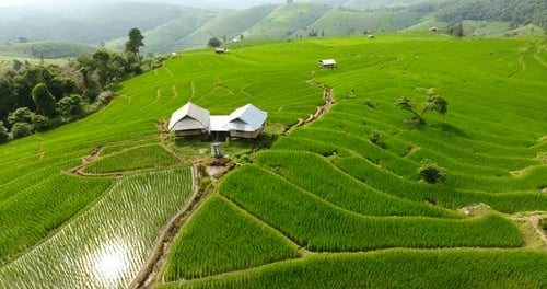 Terraço de campo de arroz em terras agrícolas de montanha