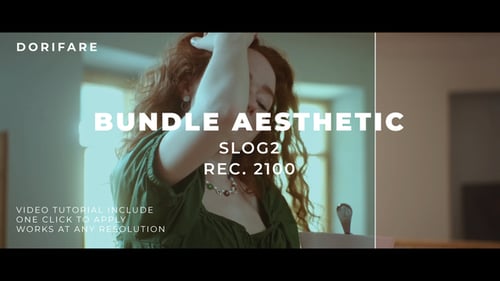 Bundle Luts Aesthetic Slog2