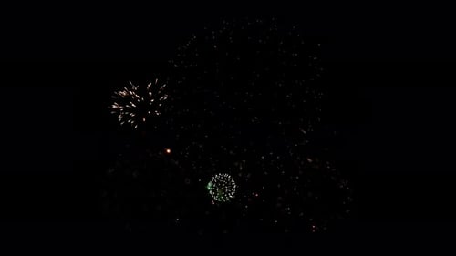 Vibrant Fireworks Exploding in the Night Sky