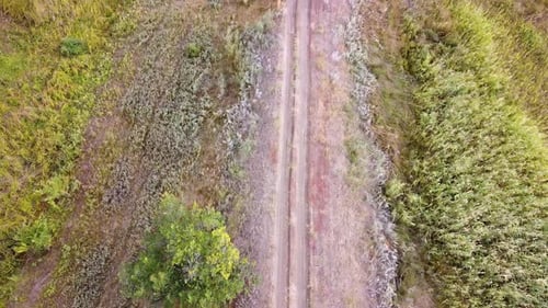 A country road among fields