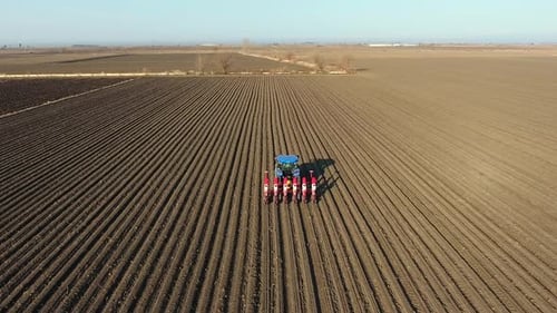 Farmer Sowing a Plowed Field With Tractor