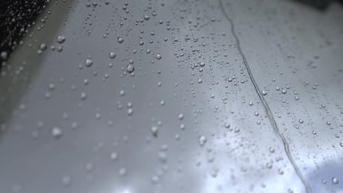 Rain Drops Flowing Down a Glass Window