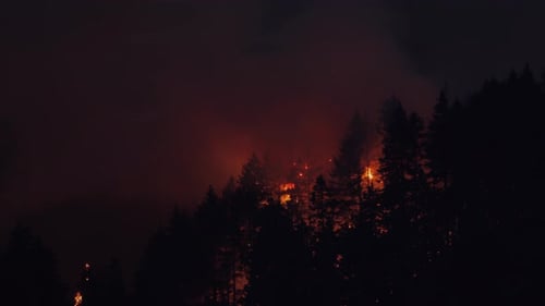 Forest Fire Near Portland Oregon