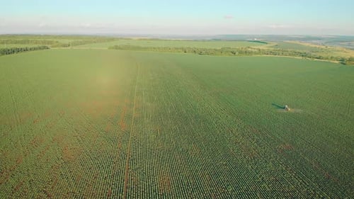 Aerial View of Farming Tractor Spraying on Field with Sprayer, Herbicides and Pesticides at Sunset