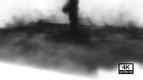 Fluid Ink Smoke Reveal Transition Animation