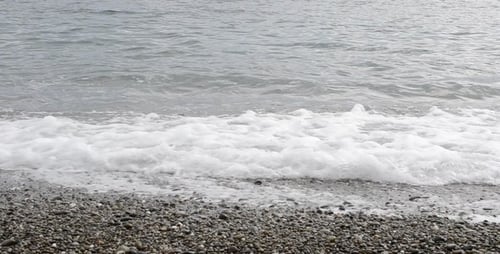 Meer