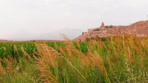 Monastère de Khor Virap en été
