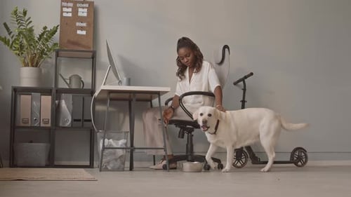 Woman Petting Dog in Office