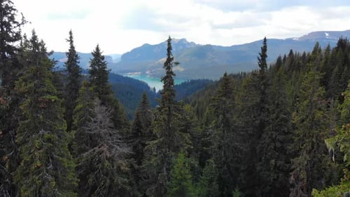 Mountain lake with turquoise water and green trees. Mountains, forest and lake.