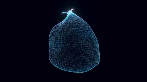 Futuristic Abstract Digital Wireframe Blob Morphing Loop