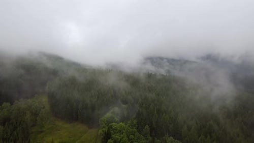 In Wolken über dem Wald fliegen