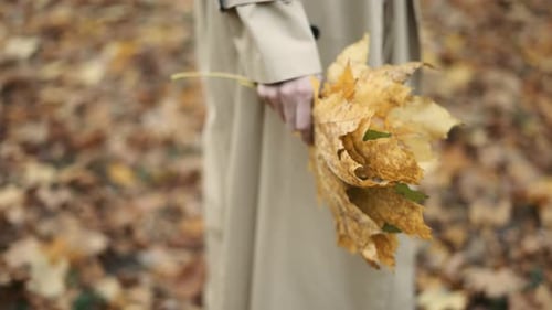 Unrecognizable Woman Walking Between Golden Trees with Pile of Yellow Leaves