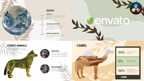 Nature Slides | DaVinci Resolve