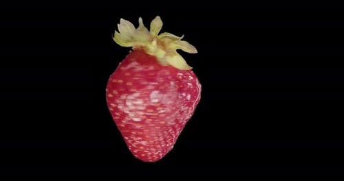 Red Strawberry Rotates Alpha Channel