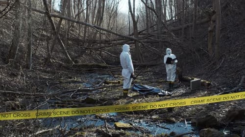 Forensic specialists working in the forest. Crime scene and police concept.