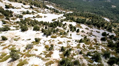 snowy landscape on a sunny day of an alpine forest near a cliff in winter seen from a DJI drone