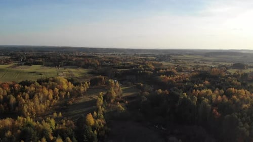 A forest glade bathed in the light of the setting sun.