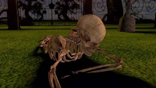 Attacking Skeleton at Night in the Cemetery