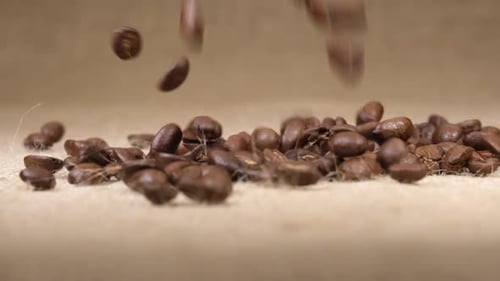 Coffee Beans
