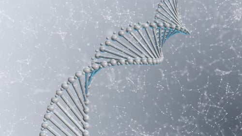 Gray Dna Plexus