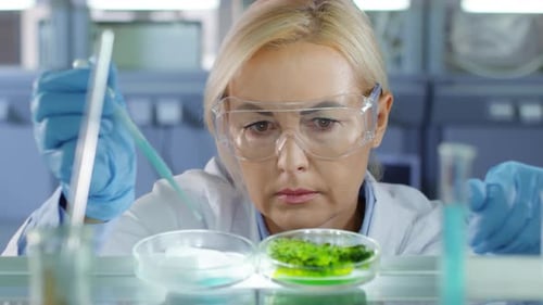 Woman Scientist Examining Samples in a Laboratory